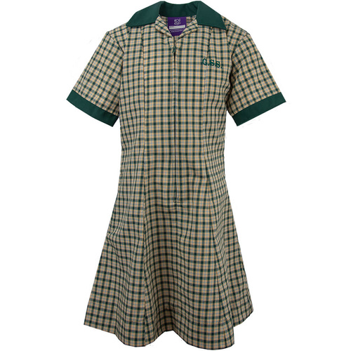 Greenslopes SS Dress 4